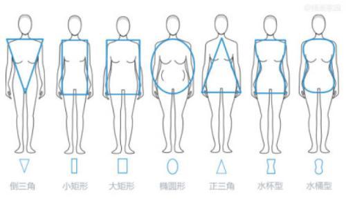 女性课 女性的六种体型 知乎 女性课 女性的六种体型 知乎