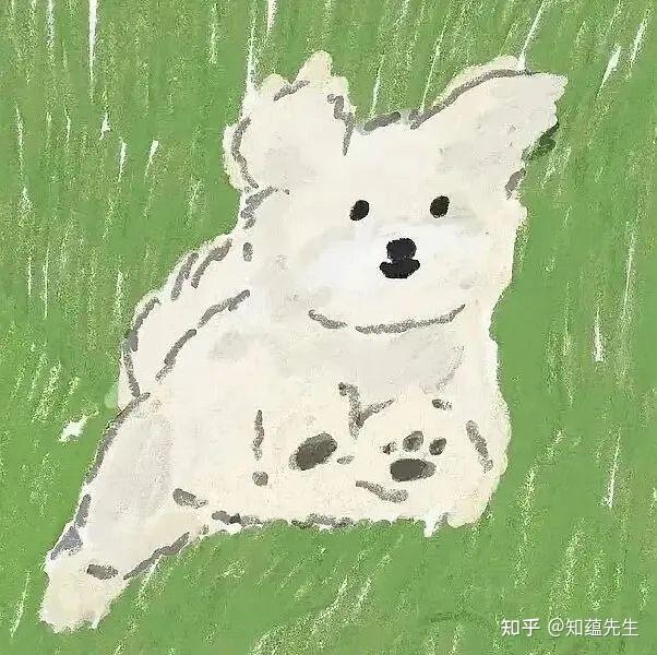 有没有好看特别的微信头像推荐? - 知乎