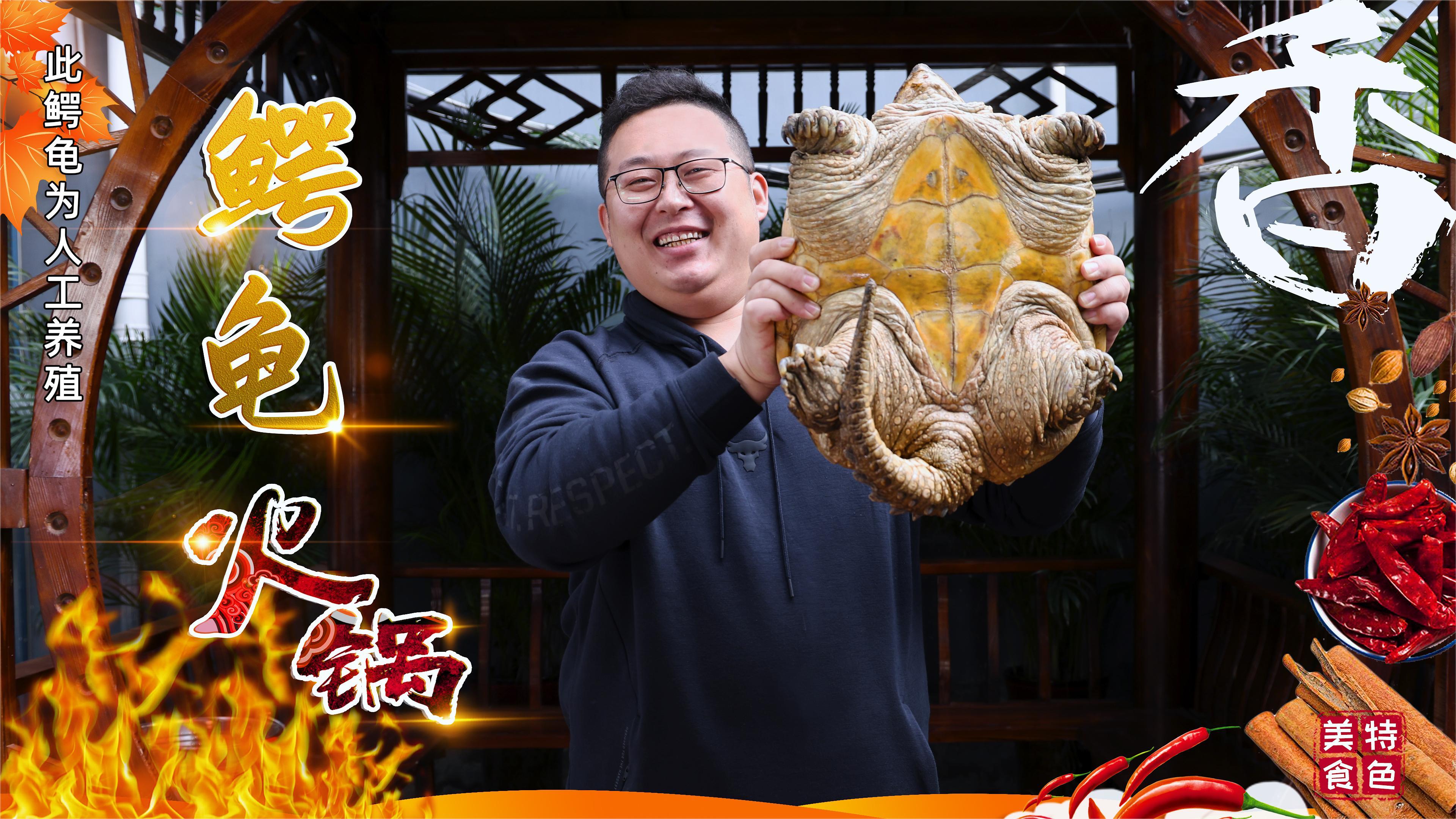 960买只大鳄龟,半吨请朋友吃"鳄龟火锅"滑滑嫩嫩,回味无穷 - 知乎