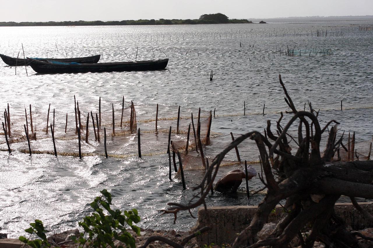 短篇故事的魅力：一分钟的奇幻旅程