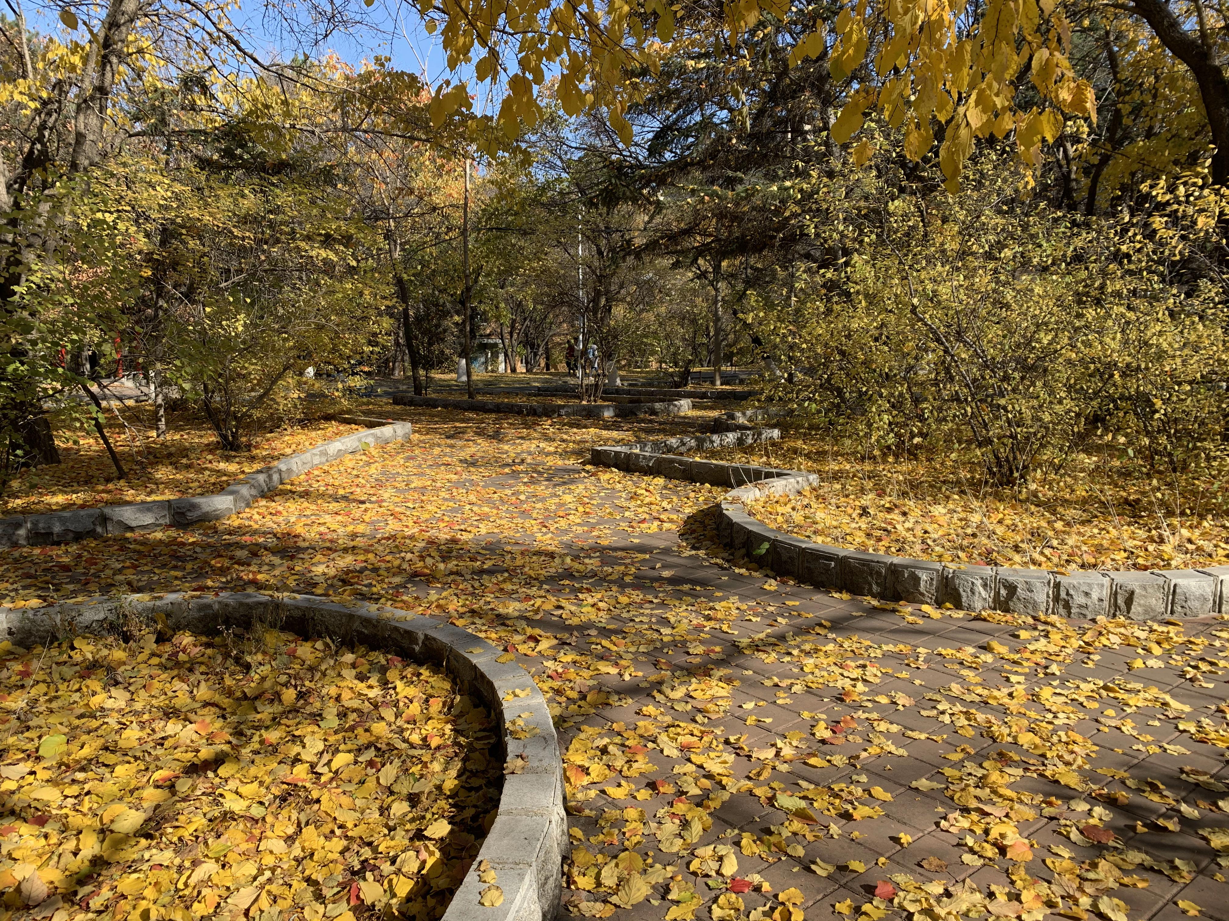 吉林大学南岭校区大虾图片