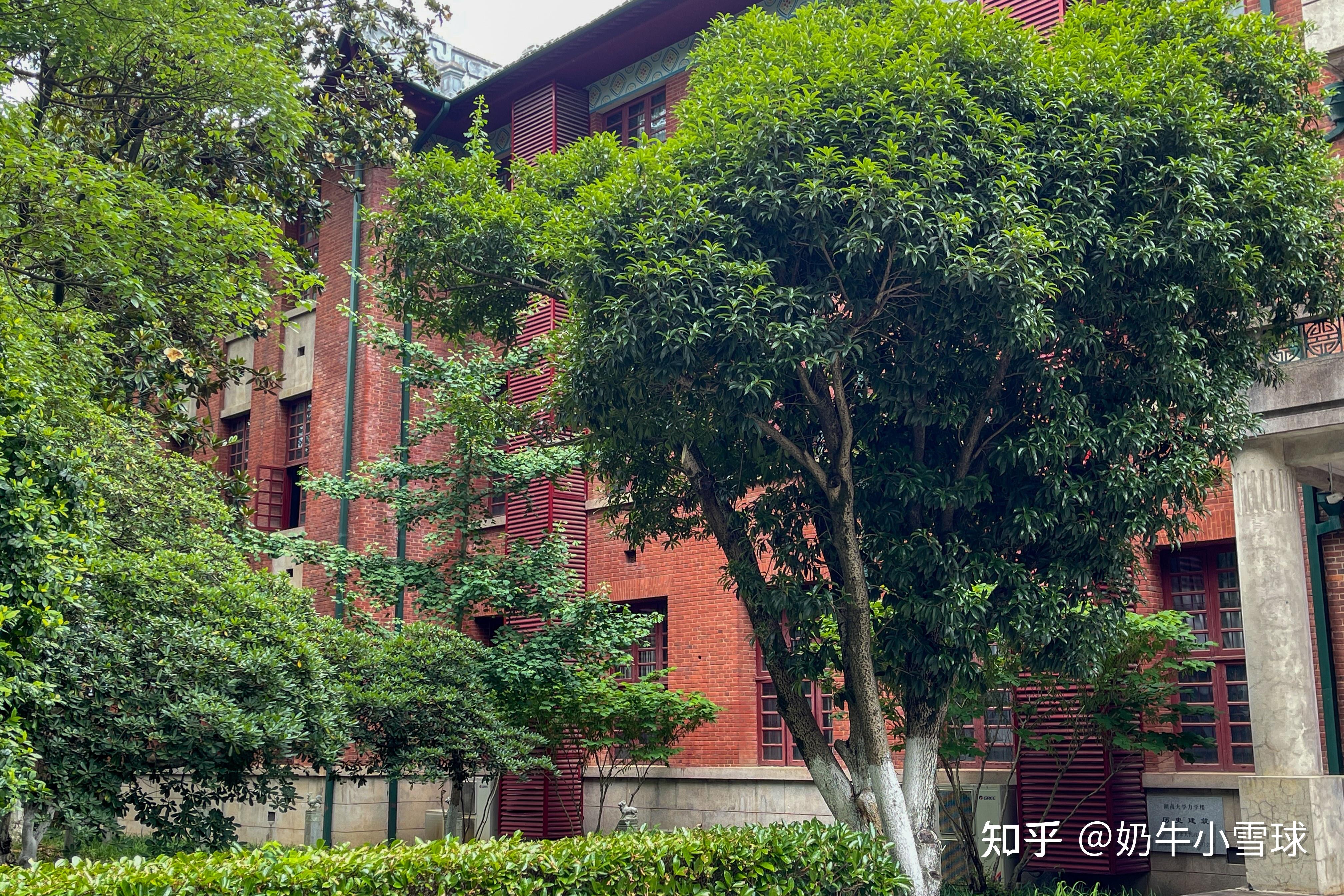 湖南导览:岳麓山·湖南大学早期建筑群 - 知乎