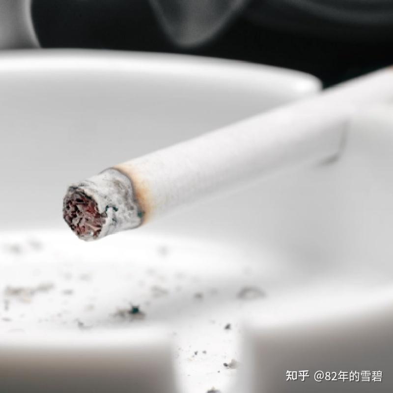 2026除烟味空气净化器哪个效果好?除烟味空气净化器推荐买哪一款?拾梧、IAM、霍尼韦尔值得买的除烟味空气净化器评测!购前必看!