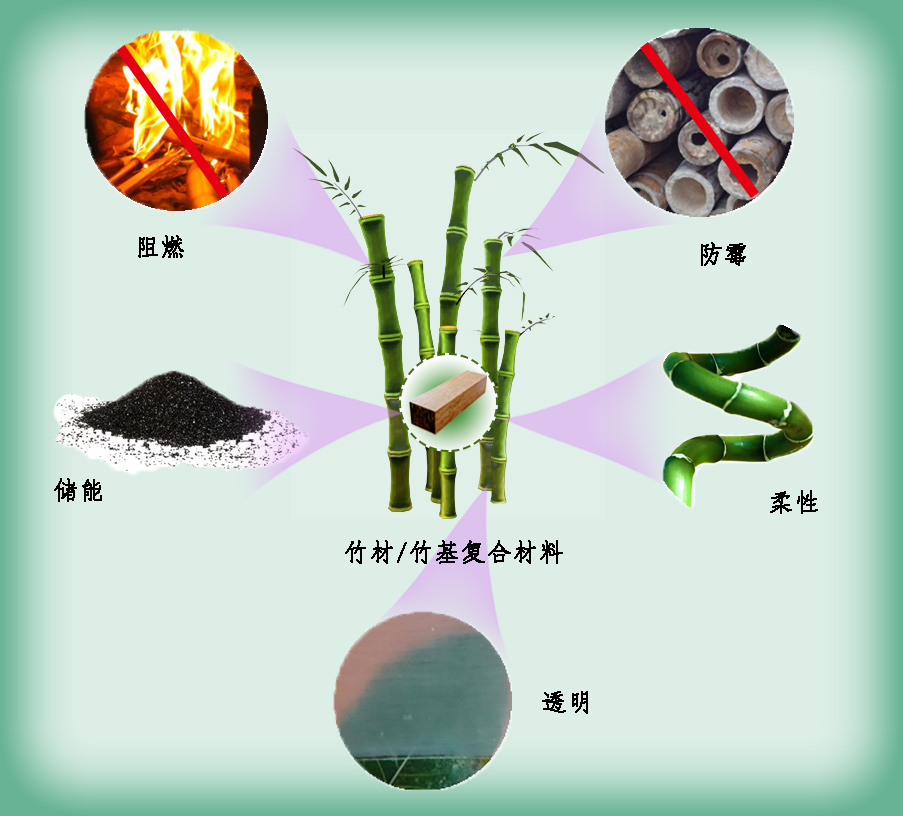 竹材或竹基复合材料的功能化改性丨JRM特刊征稿 - 知乎