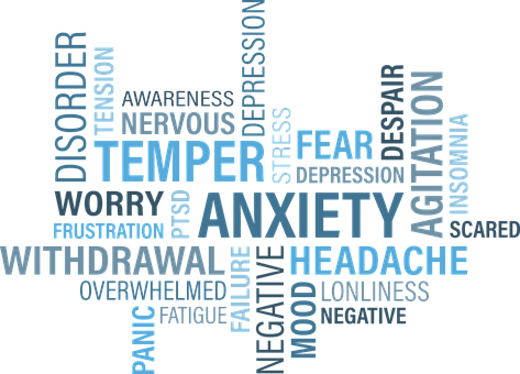 优质学区房推荐