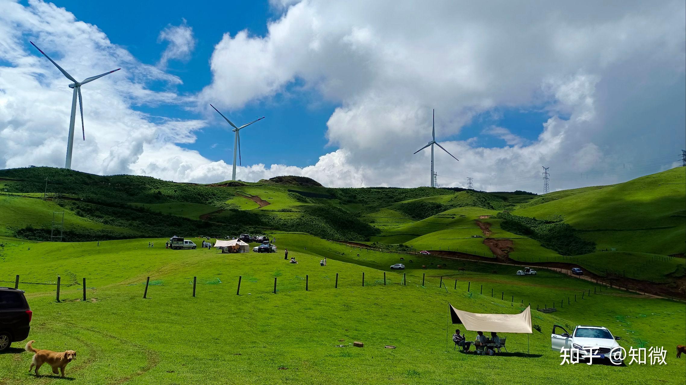 南国草原露营记