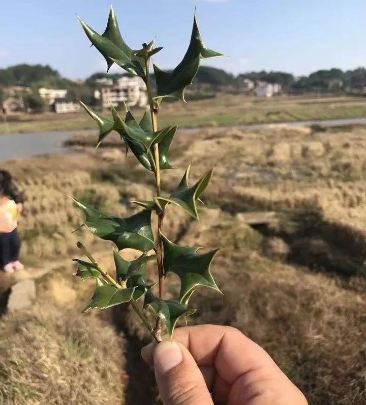 为什么现在的孩子不能打?而我们那一代经常挨打也没事 - 知乎