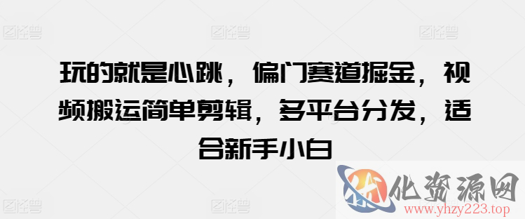 玩的就是心跳，偏门赛道掘金，视频搬运简单剪辑，多平台分发，适合新手小白【揭秘】