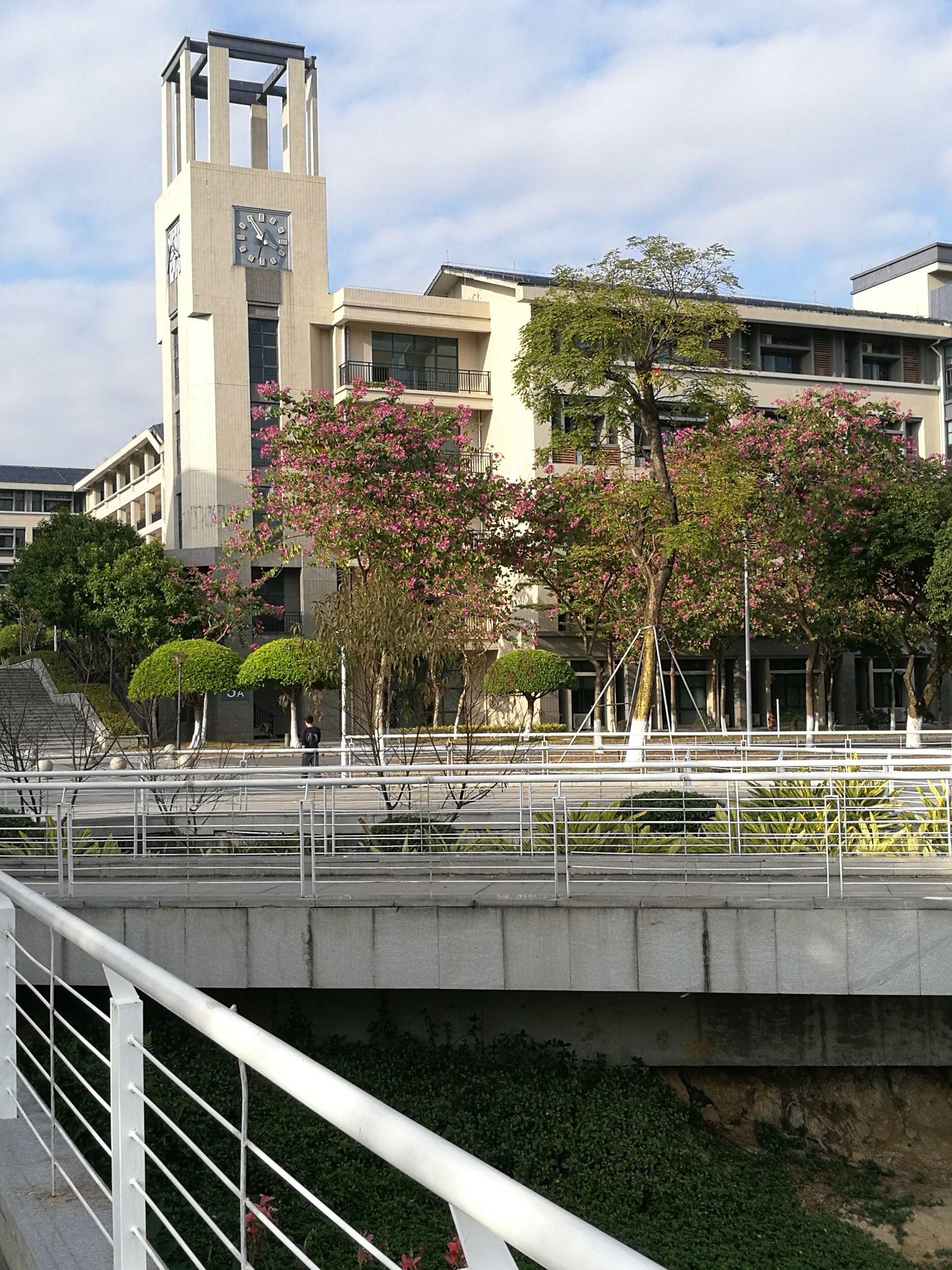 在东莞理工学院城市学院就读怎样的一番体验