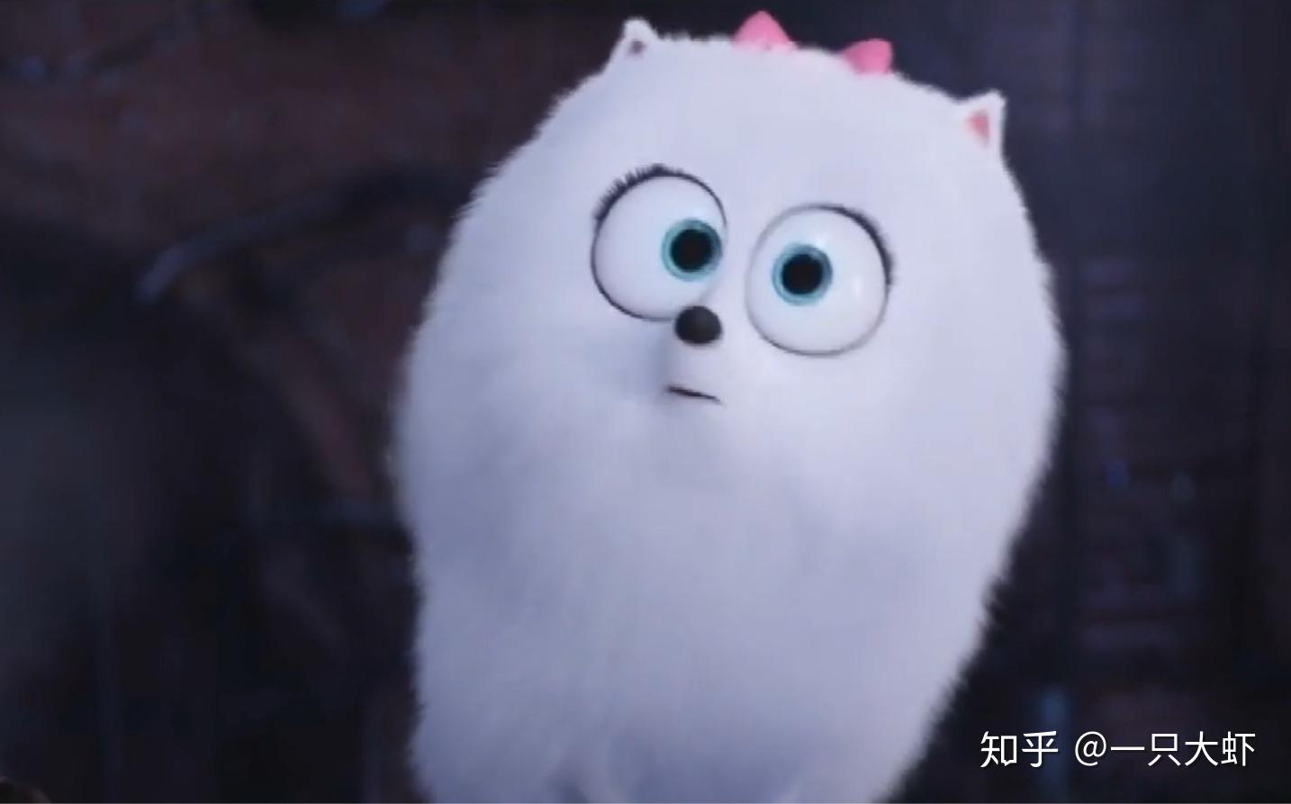 求爱宠大机密小白狗啾啾的头像