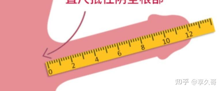 丁丁长度到底多少算正常? - 知乎