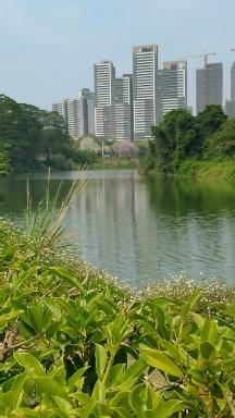 约友春游增江碧道