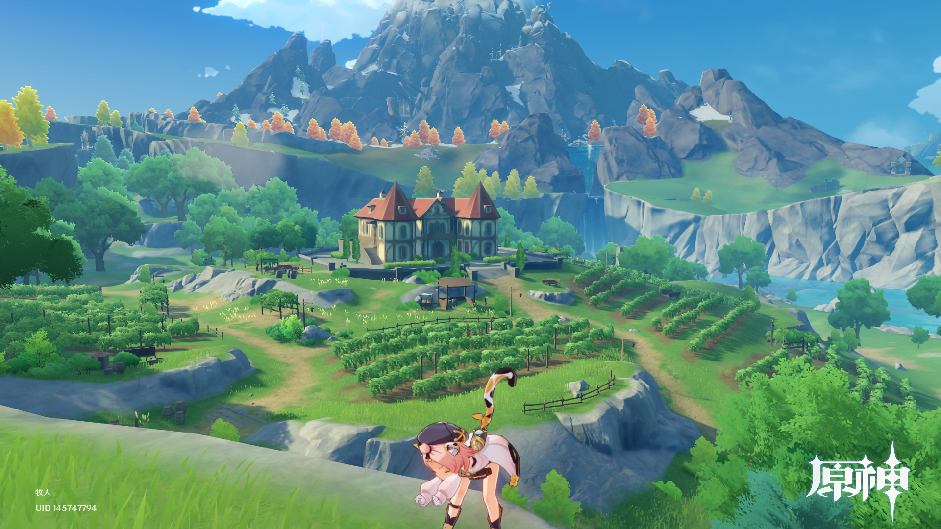 原神中有什么令人啧啧称奇的观景点