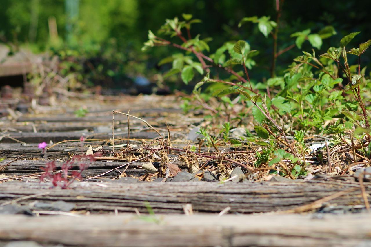 4. 车站换乘攻略