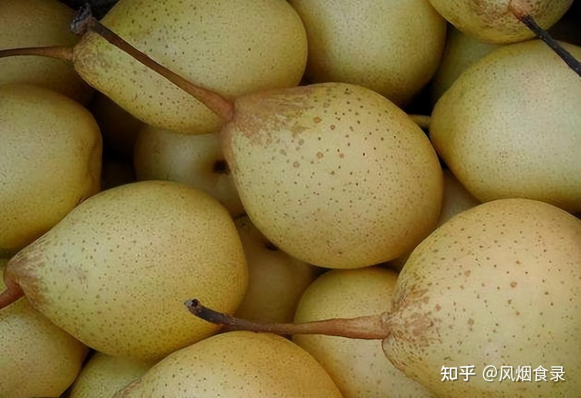 中国,最好吃的10种鸭梨,不接受反驳! - 知乎
