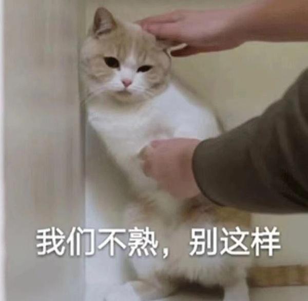 100个可爱表情包 - 知乎