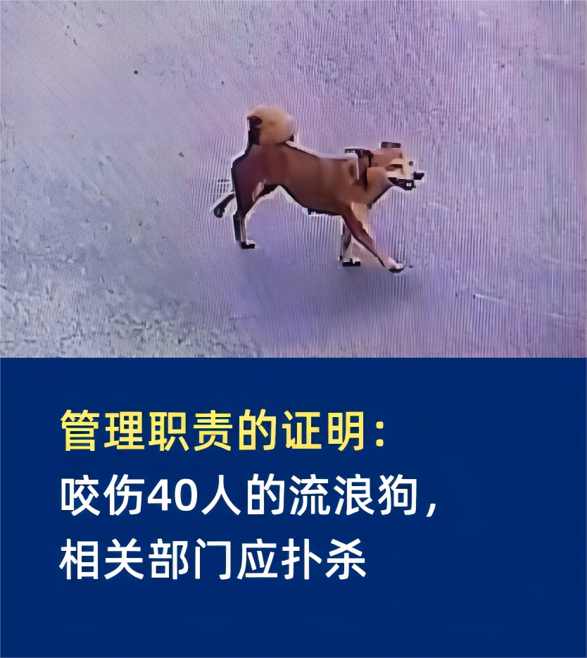 管理职责的证明:流浪狗咬伤40余人,相关部门应组织扑杀 - 知乎