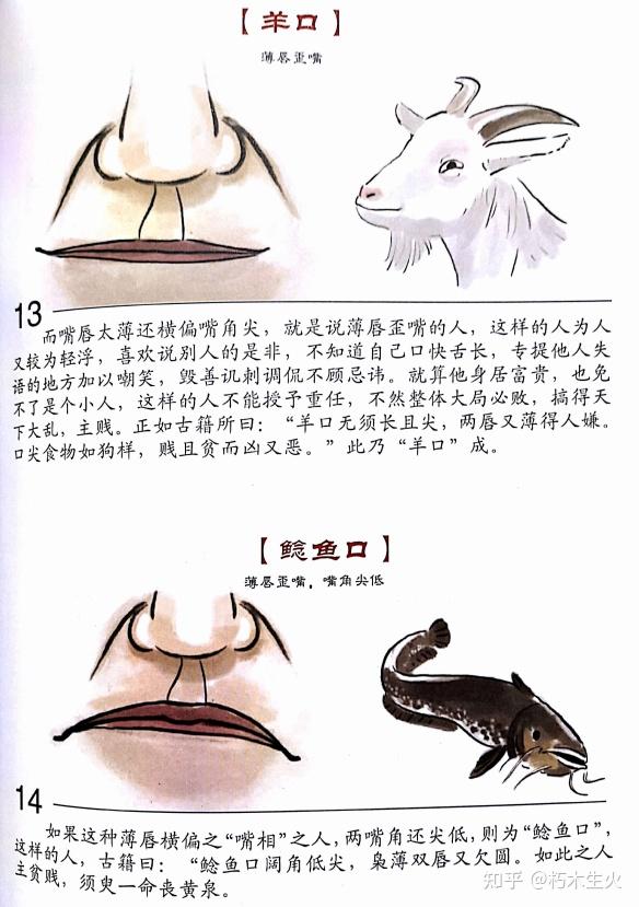 东山相法(东山面相)——第二十四篇:五官 出纳官(嘴巴) - 知乎