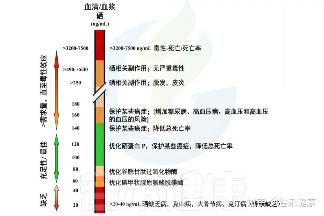硒的生理功能、缺乏危害，与肠道微生物群的互作及补充策略 - 知乎