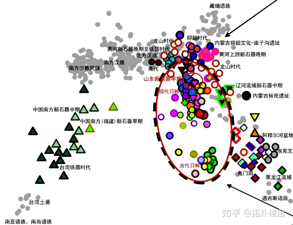 中科院新出的山东古DNA分析之我见 - 知乎