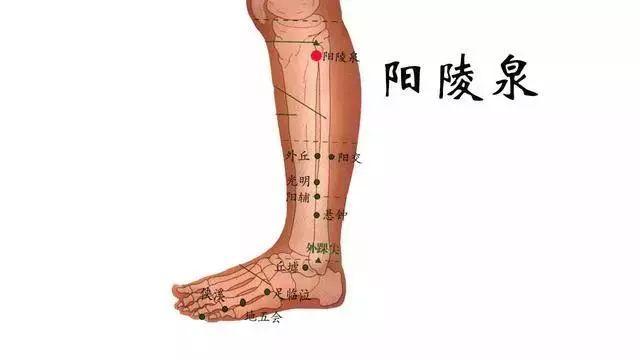 35个常用穴位与功效大全，配穴位图详解 - 知乎