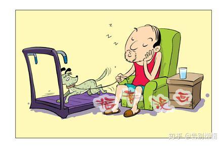 你的懒惰是从什么时候养成的？ - 知乎