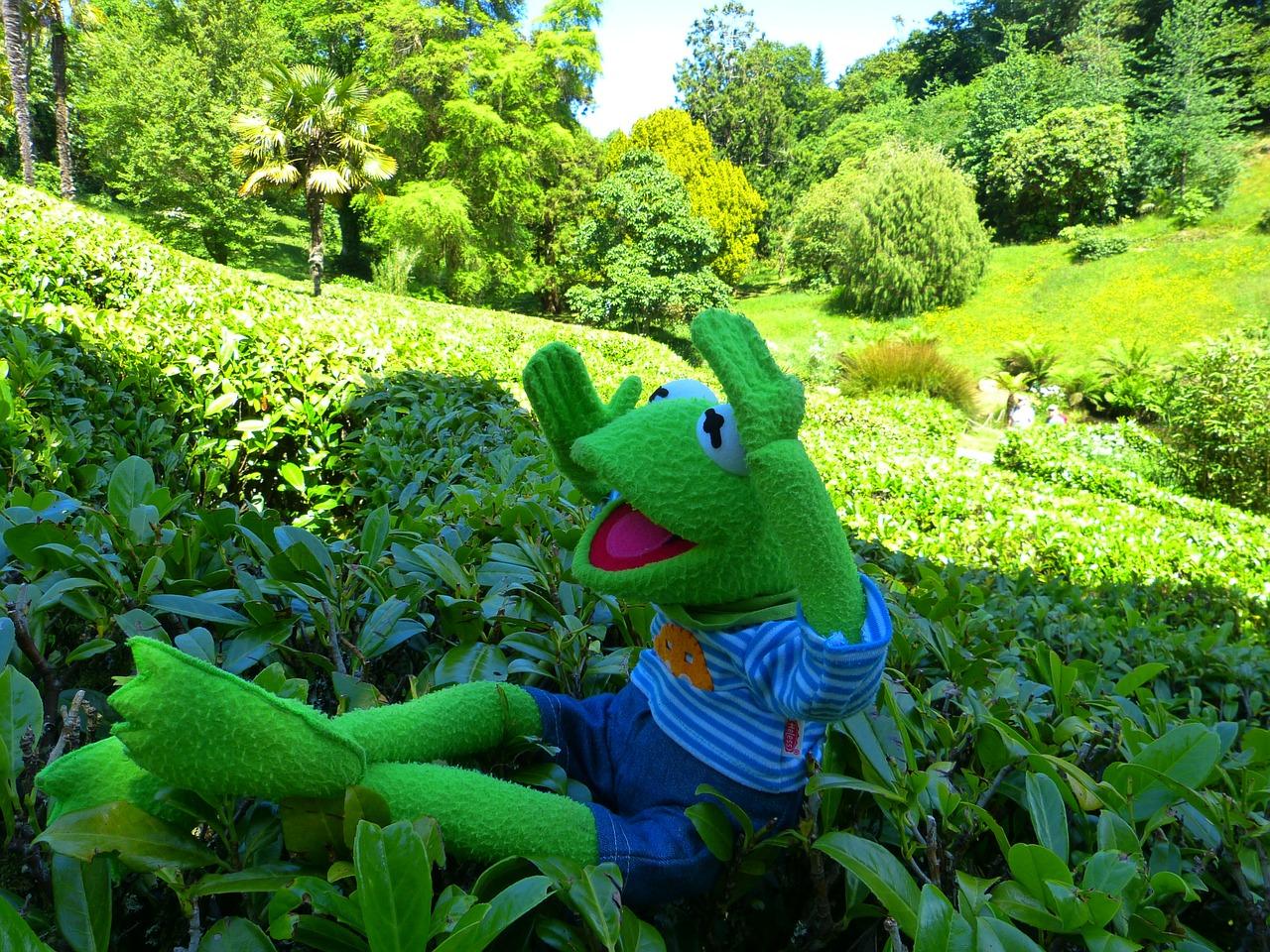 3. 交通便捷指南