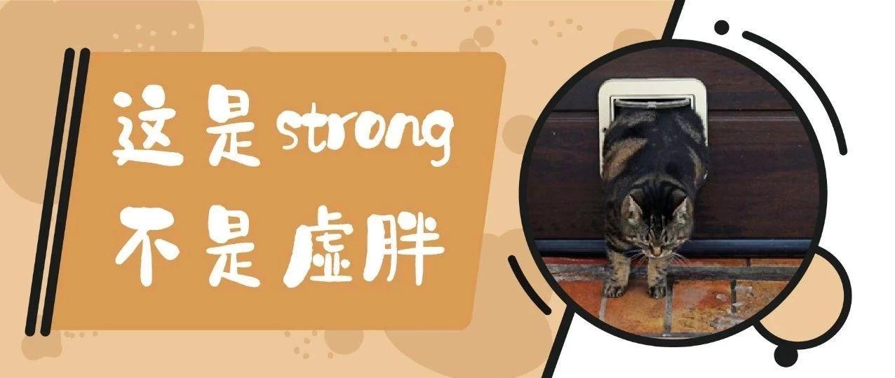 猫咪肥胖鉴定手册 你的猫到底需不需要减肥 知乎 猫咪肥胖鉴定手册 你的猫到底需不需要减肥 知乎