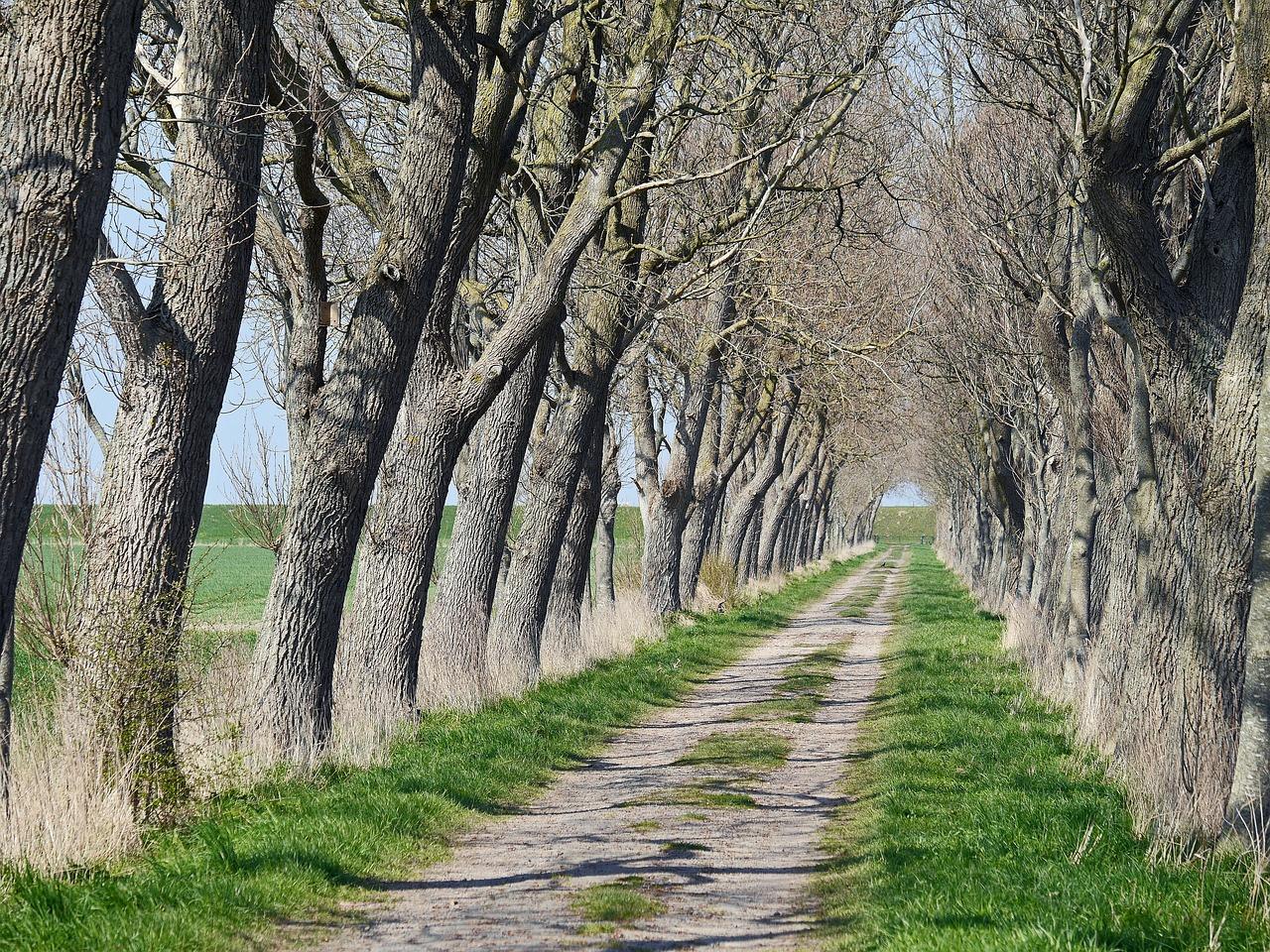 4. 大道生活超市