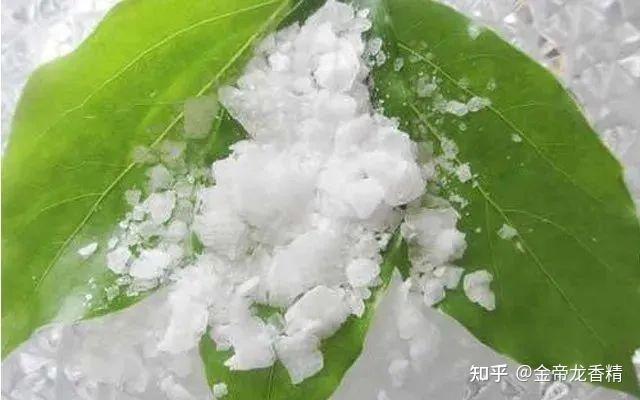 香精与香料(31)—龙脑 - 知乎