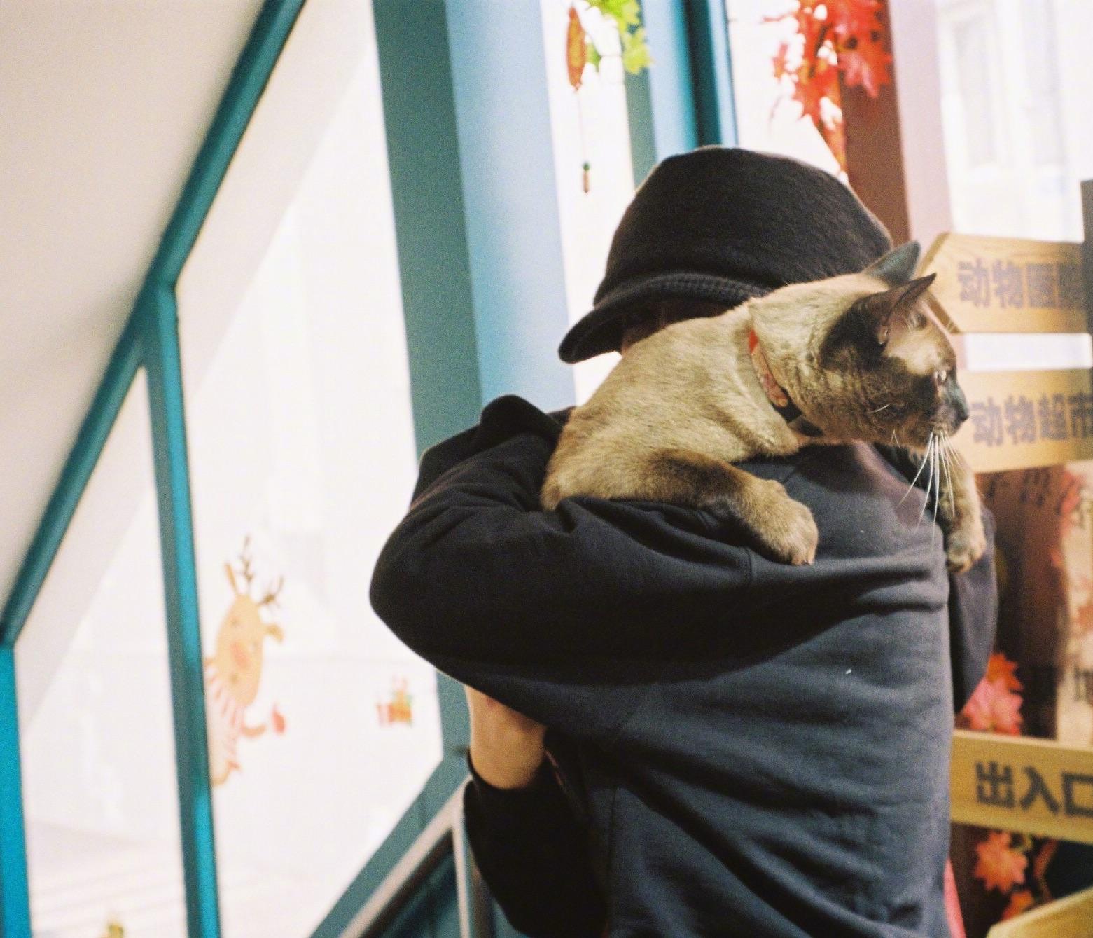 有没有什么惊艳的微信头像?-特别惊艳到人的微信头像