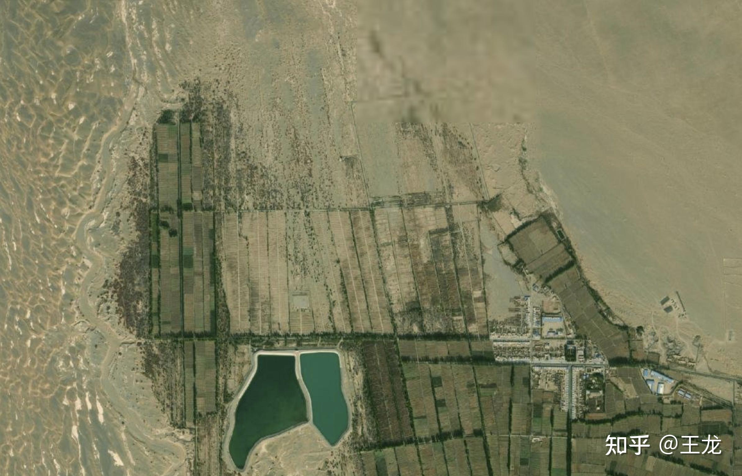 如何看待敦煌阳关林场万亩防护林遭剃光头式砍伐以葡萄园来作为替代品