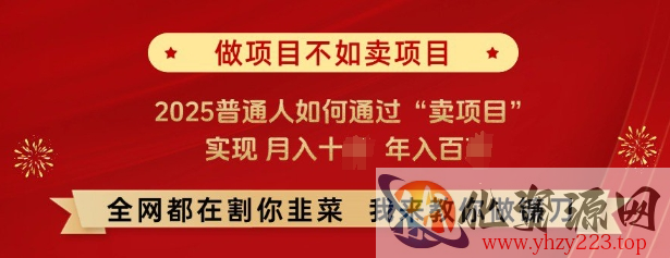 必看，做项目不如卖项目，2025普通人如何通过“卖项目”实现月入十个，年入百个