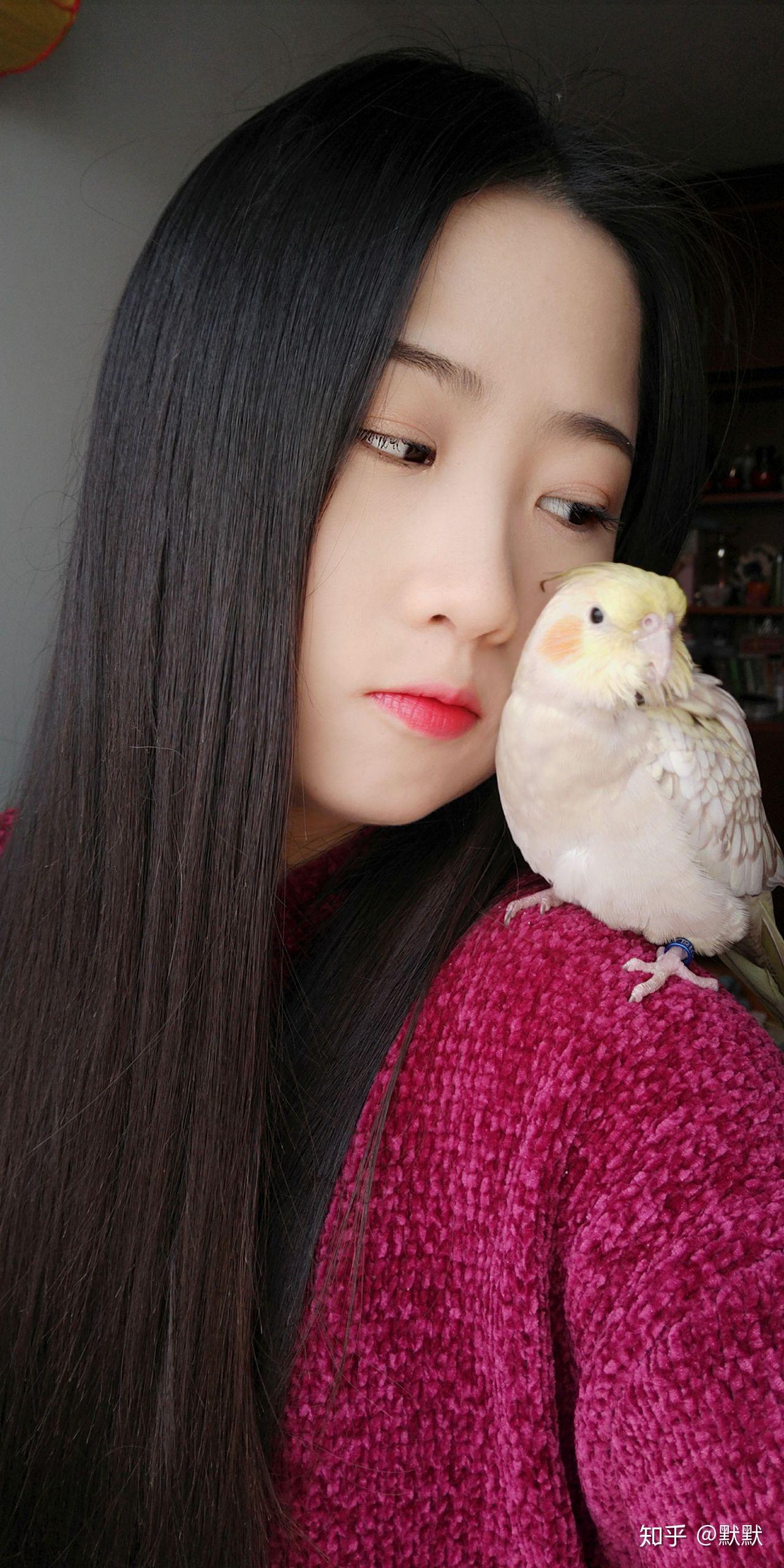 家里养小鸟是种怎样的体验? - 知乎