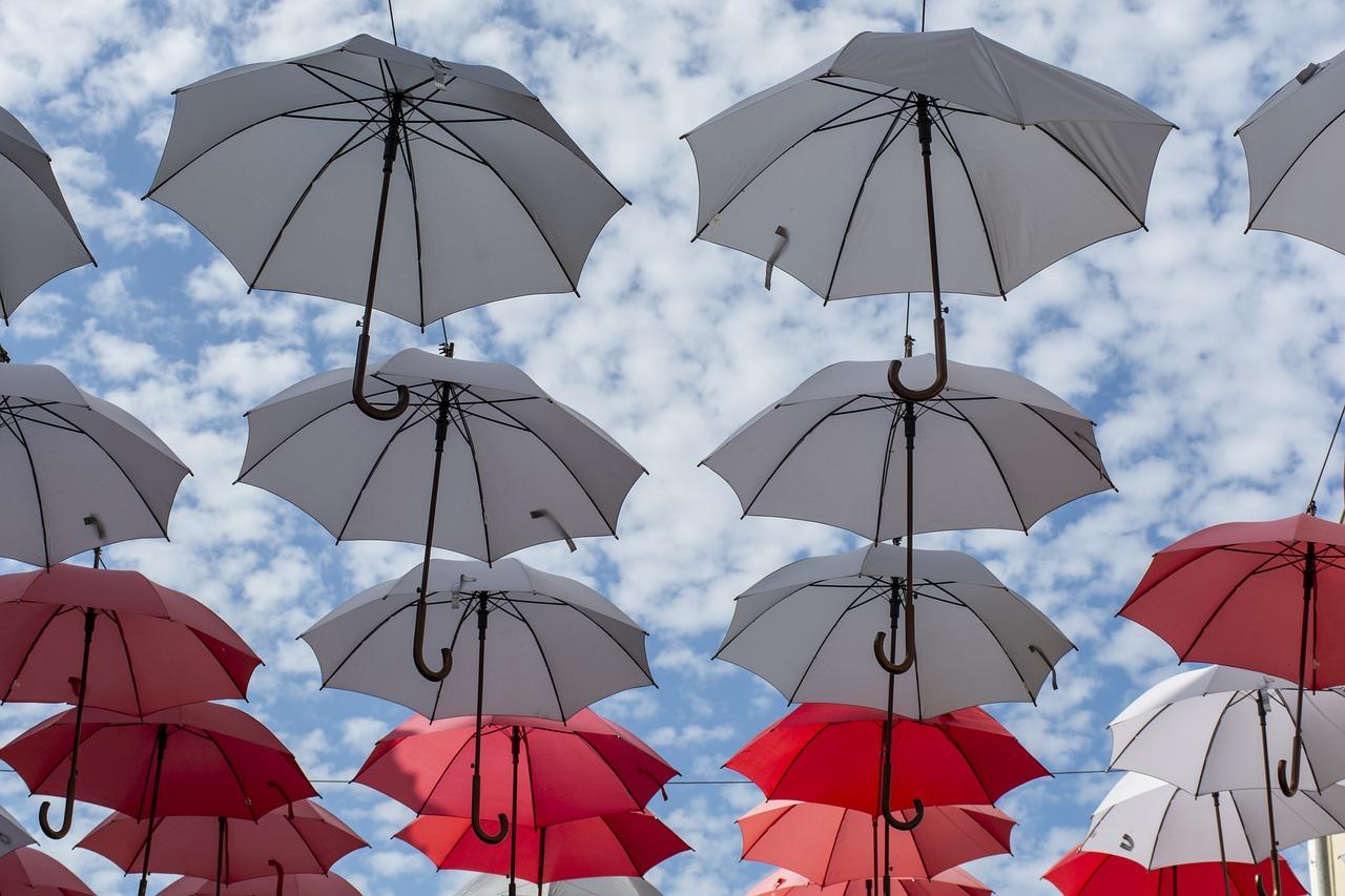 雨伞内层清洁方法