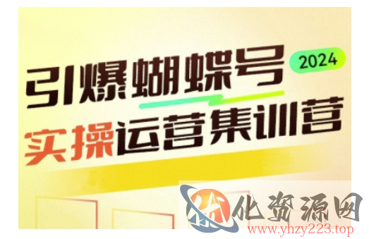 引爆蝴蝶号实操运营，助力你深度掌握蝴蝶号运营，实现高效实操，开启流量变现之路