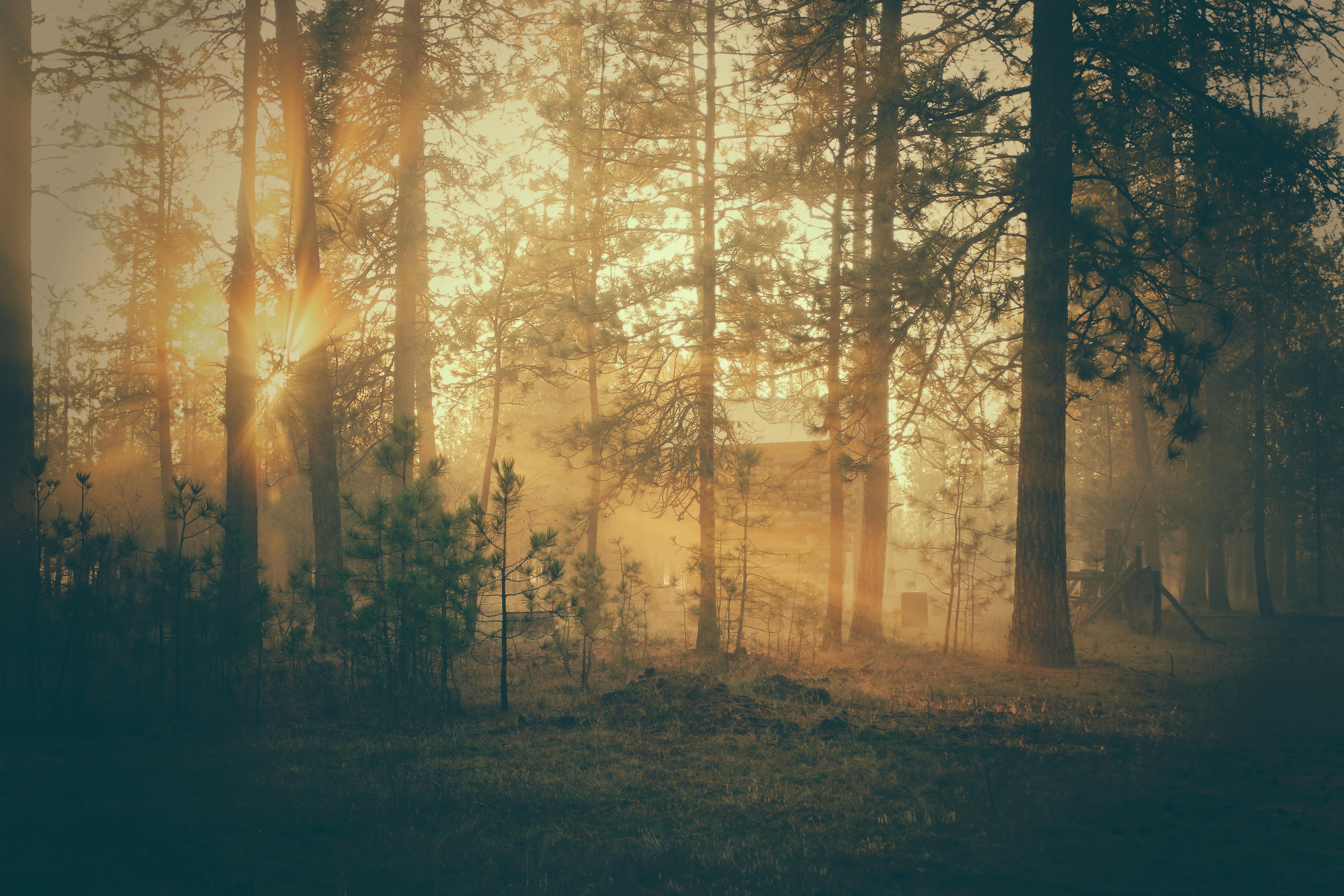 有哪些好看的高清北欧风电脑壁纸? - 知乎