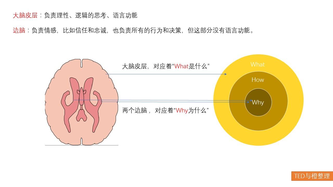 聪明人的思维方式与普通人的区别有哪些?