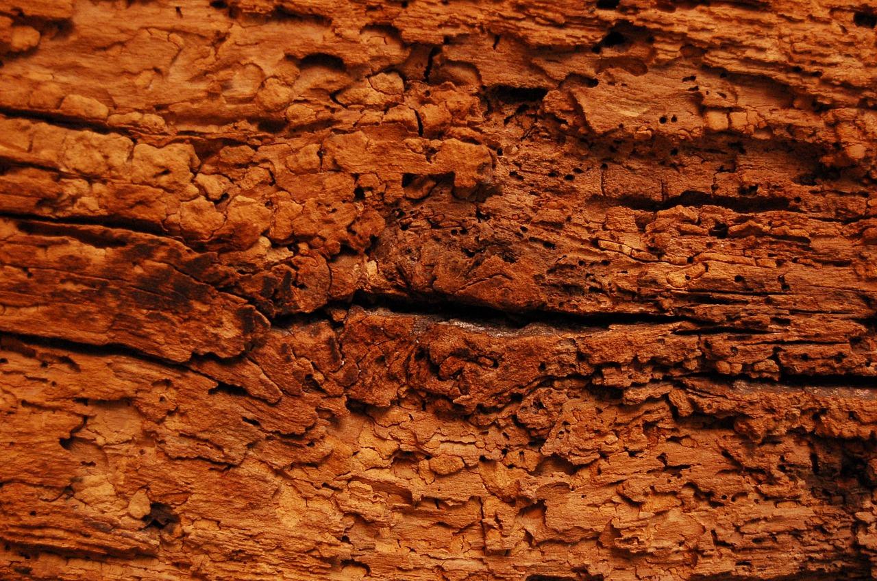 瓷砖分什么质地