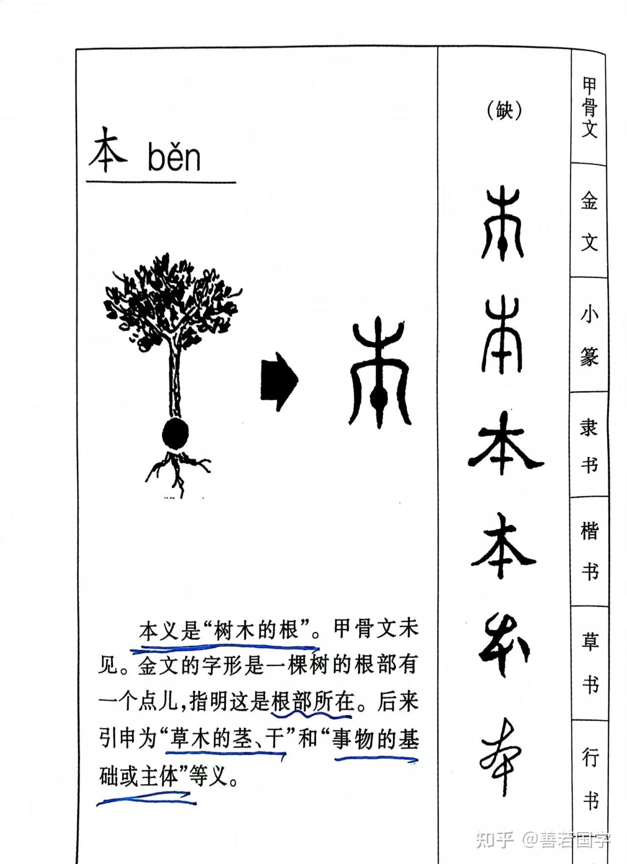 分解十二地支最深刻的解读8（未） - 知乎