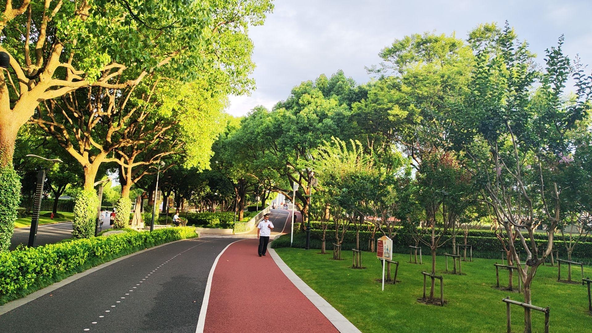 上海东岸滨江绿道,自行车限速 15km/h,配有雷达测速,如何看待此规定?