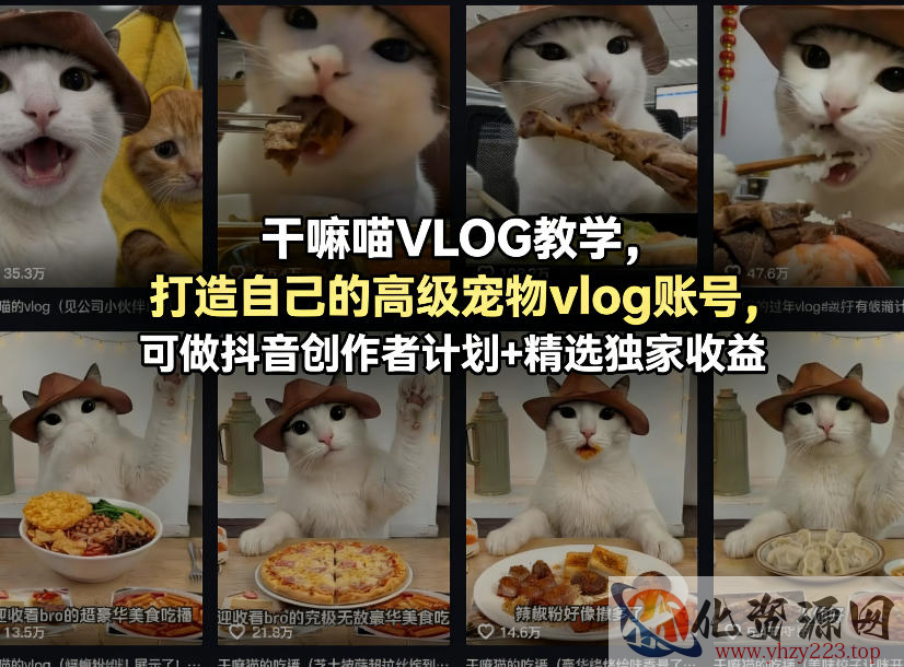 干嘛喵VLOG教学，打造自己的高级宠物vlog账号，可做抖音创作者计划+精选独家收益