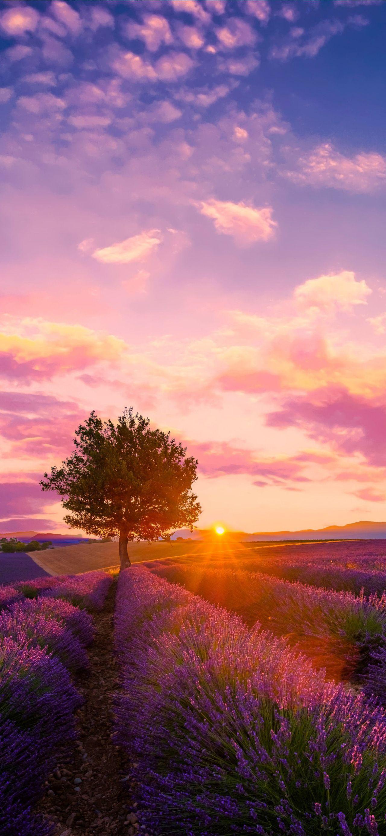 有哪些比较好看的风景壁纸? - 知乎