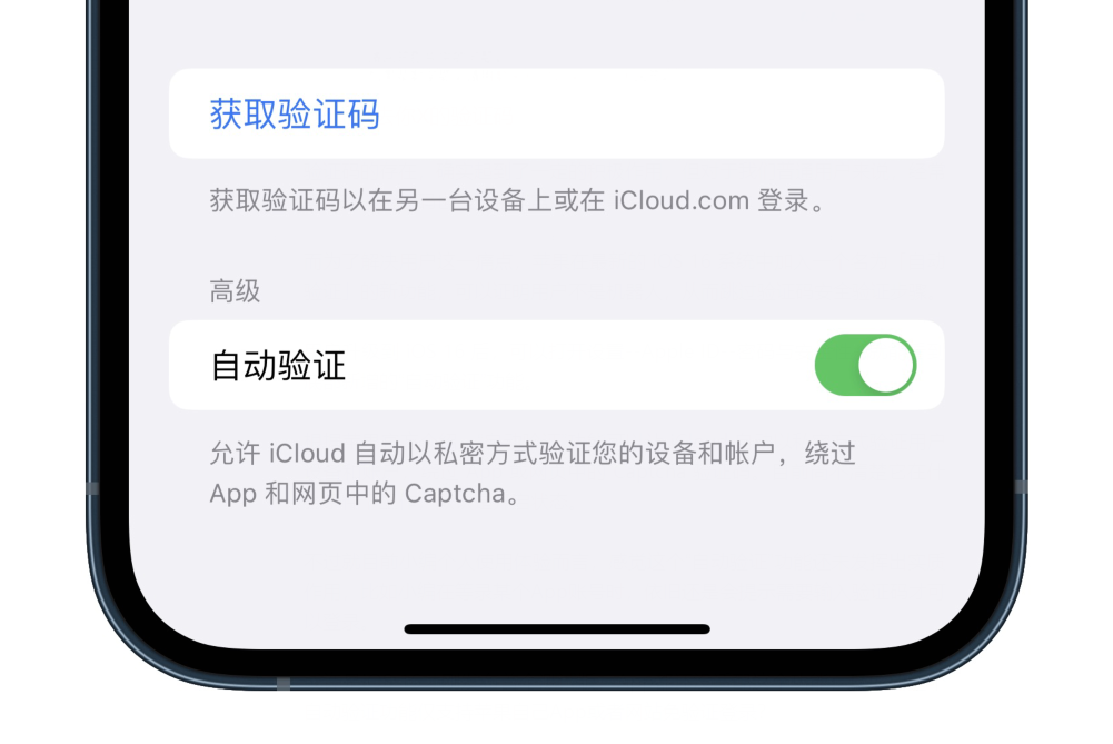 接受手机验证码的软件下载安全吗苹果版