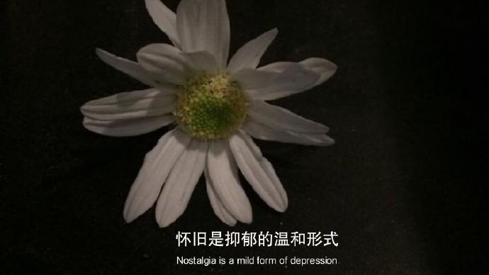 ins图高清黑色 v2-932e61dbac0637fc505a72a44475fff4_1440w.jpg?source=172ae18b