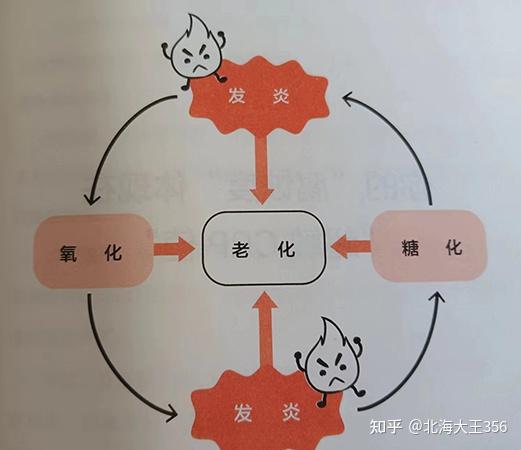 为什么炎症总是反复发作?如何抗炎? - 知乎