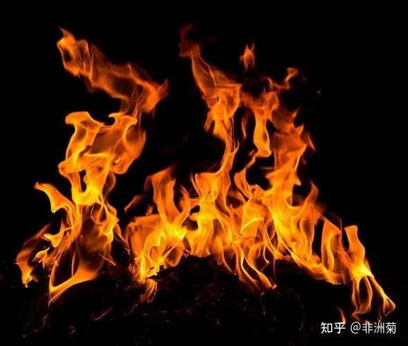 五行缺火要不要补火,火对人的作用,怎么补?(入门科普) - 知乎