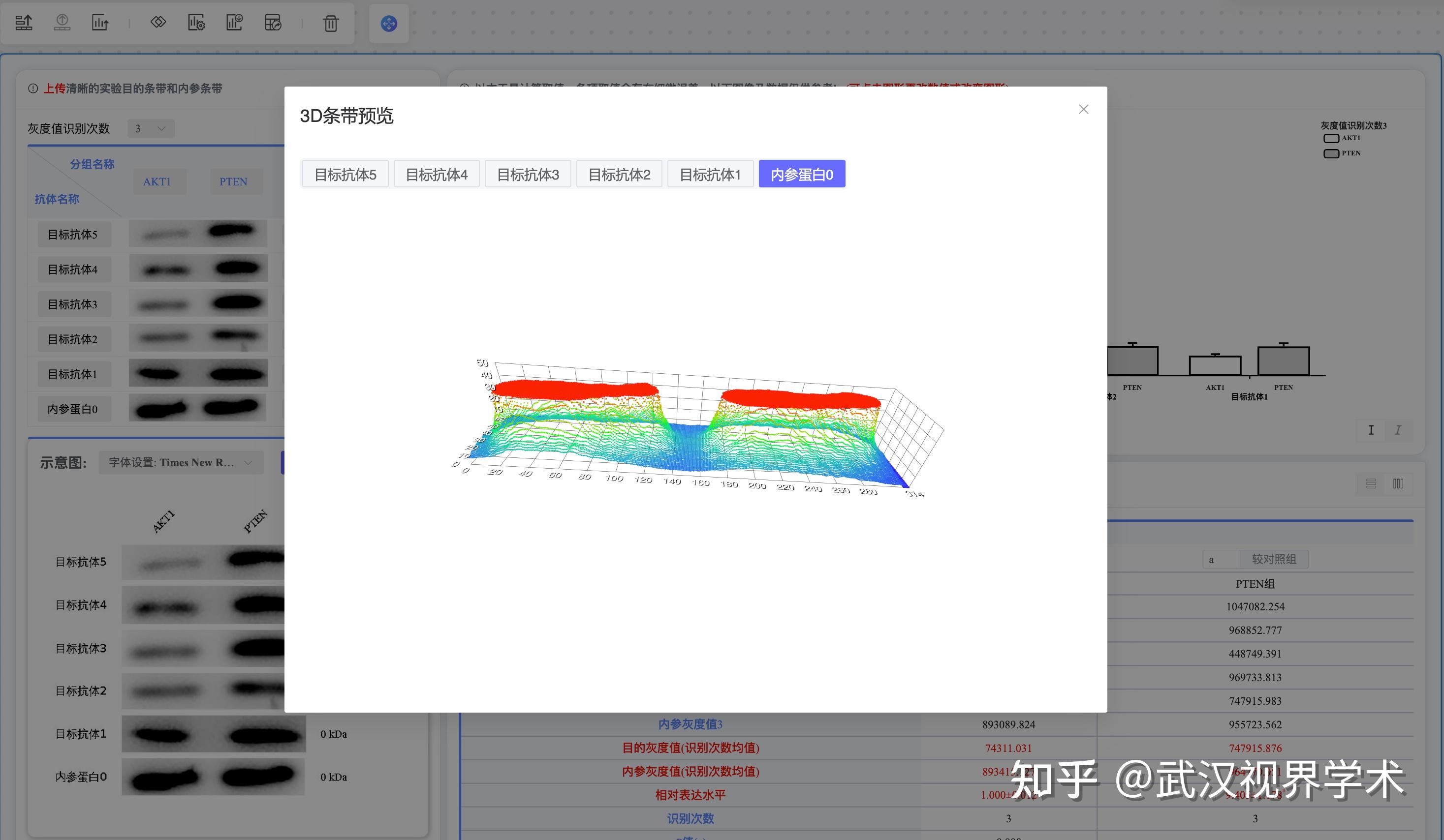 WB条带灰度分析及数据处理— 工具一键搞定! - 知乎