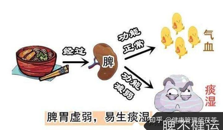 【二】你是“实胖”还是“虚胖”?为什么有的人怎么减也不瘦? - 知乎