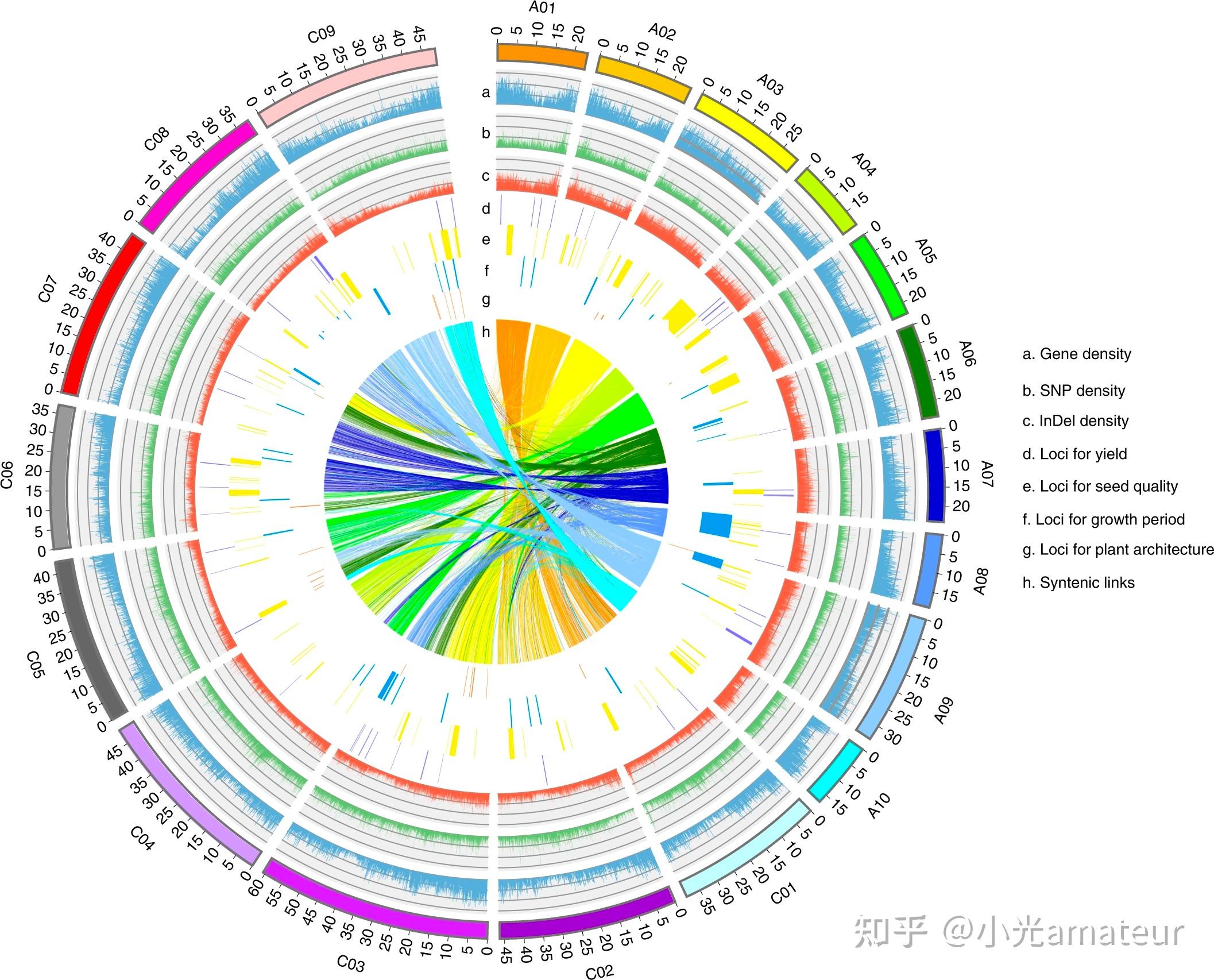 哪些基因在绝大多数植物中存在,但是少数植物发生了丢失或突变?